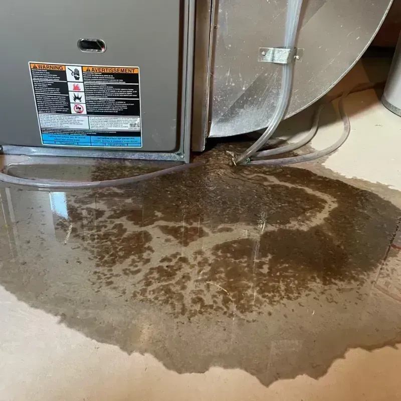 Appliance Leak Cleanup in Elbert County, CO